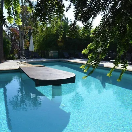Magnificent T2 With Swimming Pool *